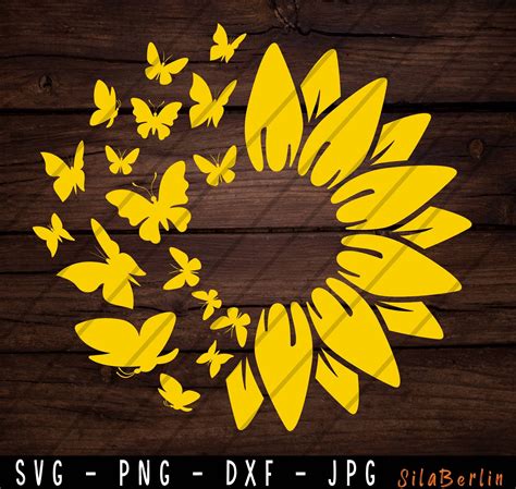 Download 429+ 3D Sunflower SVG Free Images